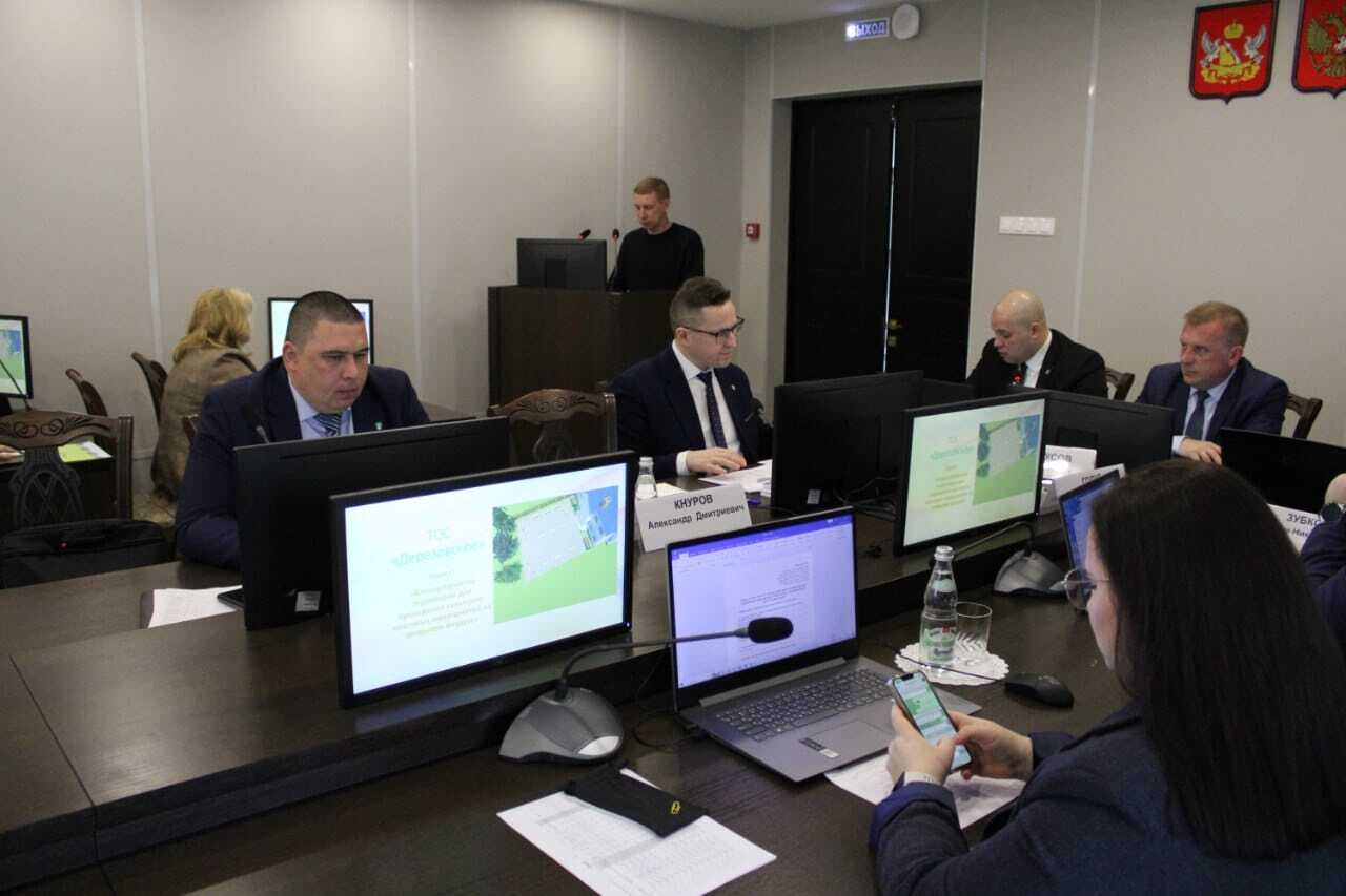 Защита проектов ТОС Дерезовского сельского поселения Верхнемамонског муниципального районао.