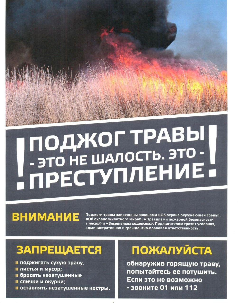 Профилактика ландшафтных (природных) пожаров.